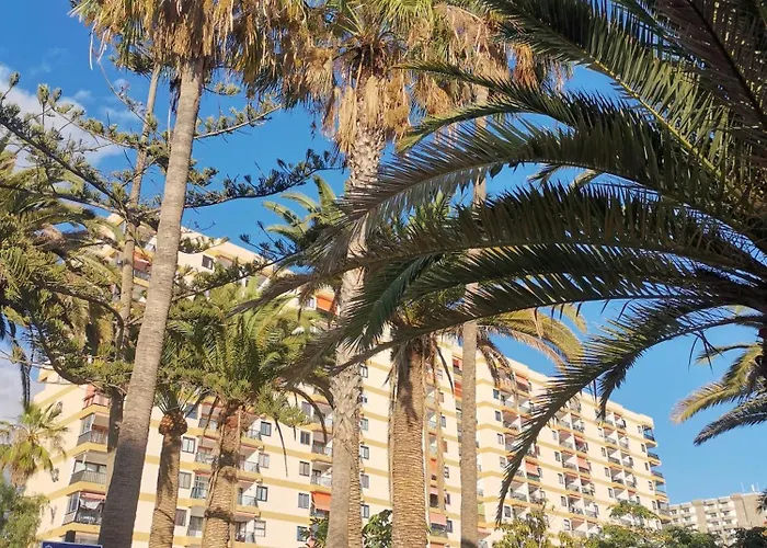 Διαμέρισμα Cristianos Achacay Standing Vue Panoramique Los Cristianos (Tenerife)